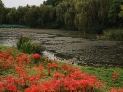 -西安浐灞国家湿地公园