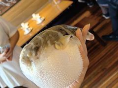 -永安鱼庄·镇江菜(丁卯店)