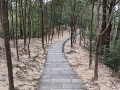 -火炉山森林公园