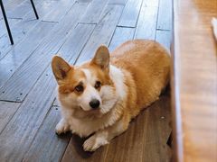 -肥朵食堂(带梦胡同店)