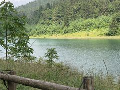 -武陵山森林公园