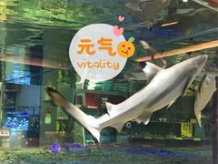 -趣陶陶艺手工坊(新世界百货重庆店)