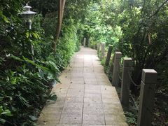 -小南山公园
