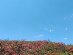 -大围山国家森林公园