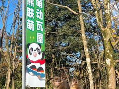 -瓦屋山景区