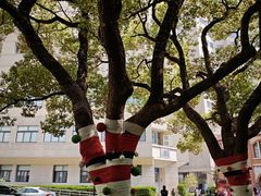 -上海交通大学医学院附属瑞金医院(总院)