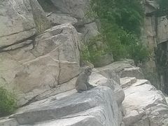 -崂山仰口游览区