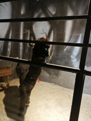 -酷嗒动物文化乐园(cutezoo西溪乐天城店)