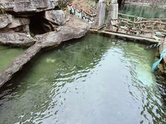 -长寿村