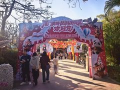 -灵玲国际马戏城