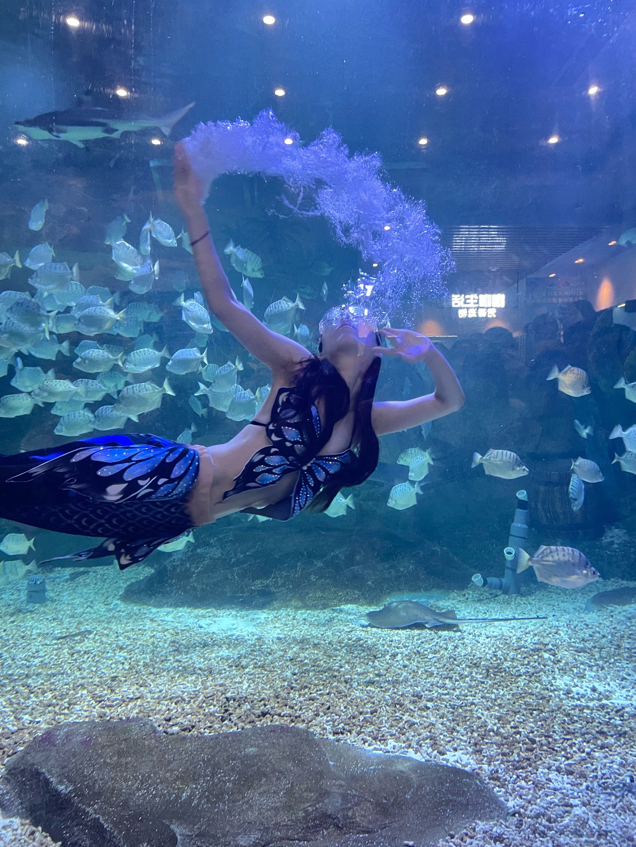 来发现改造过了
儿童乐园更宽敞了一些
#美人鱼表演#杭州遛娃指南