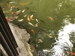 -珠海圆明新园
