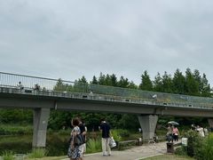 -白鹭湾湿地公园