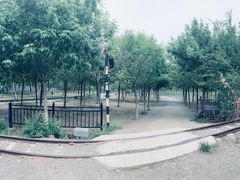 -西青郊野公园