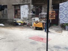 -九龙餐厅(大沽路店)