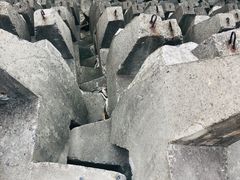 -上海滨江森林公园