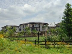 -田园东方蜜桃村的田野营地