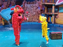 -烟台海昌鲸鲨海洋公园