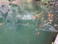 -龙湾潭国家森林公园
