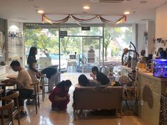 -平行世界·猫咖(首经贸店)