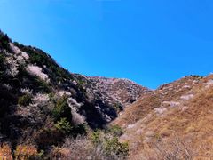 -妙峰山风景名胜区