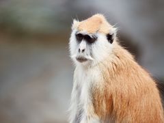 -杭州野生动物世界