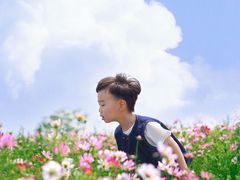 -阳澄湖半岛旅游度假区