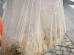 -殷姐糯米包油条