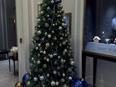 -Harry Winston 海瑞温斯顿