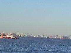 -上海滨江森林公园