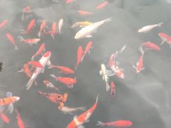 -长阳创谷