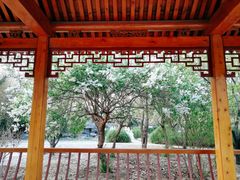 -中国中医科学院望京医院(院本部)
