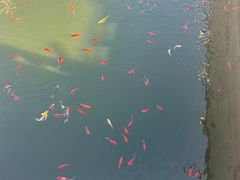 -北京市劳动人民文化宫(太庙)