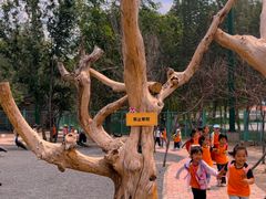 -水上乐园·欢乐世界