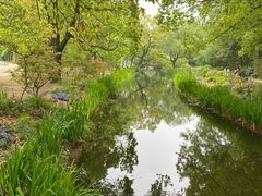 -上海共青森林公园