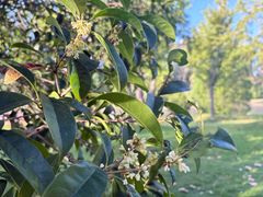 -三好坞景观餐厅