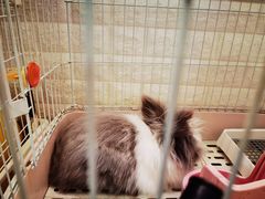 -平行世界·猫咖(首经贸店)