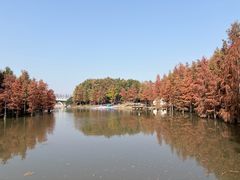 -上海长兴岛郊野公园