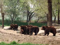 -北京野生动物园