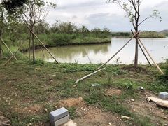 -漩门湾国家湿地公园