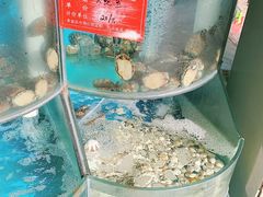 水产区-聚德福海鲜家常菜(刘庄店)