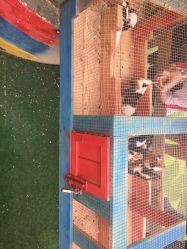 -萌宠亲子动物乐园(槐房万达店)