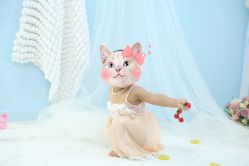 -蜜阁孕味亲子摄影(太奥广场店)