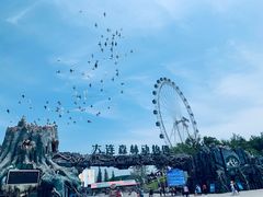 -大连森林动物园