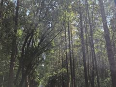 -同里国家湿地公园