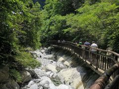 -武陵山森林公园