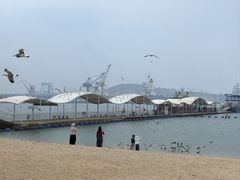 -海驴岛(荣成市)