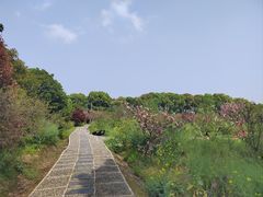 -南汇桃花村