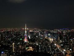 -六本木新城展望台(东京城市景观)