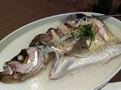 双鲜蒸开刀大白丝-同里湖大饭店-怡景轩中餐厅(同里古镇店)